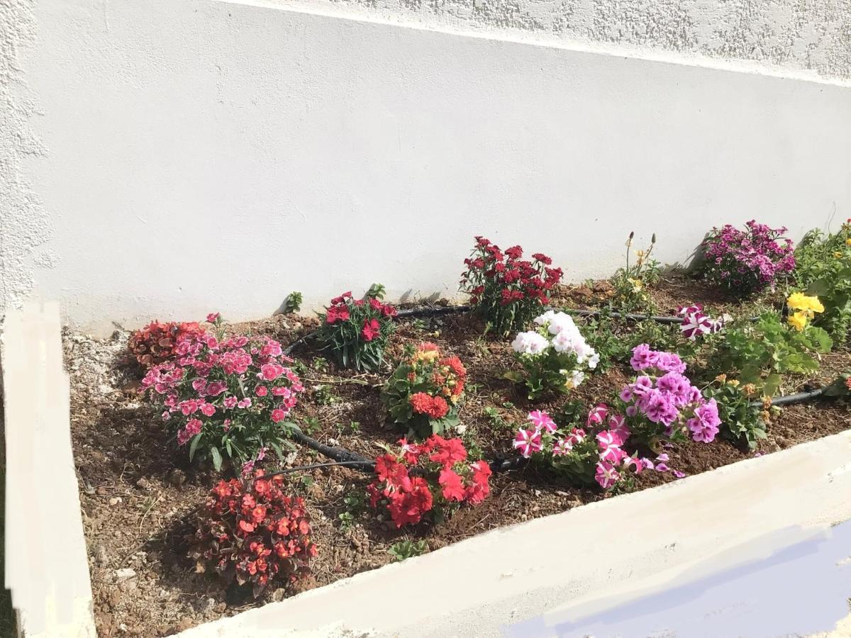 Arokaria Holiday Houses Platanes  Exterior foto