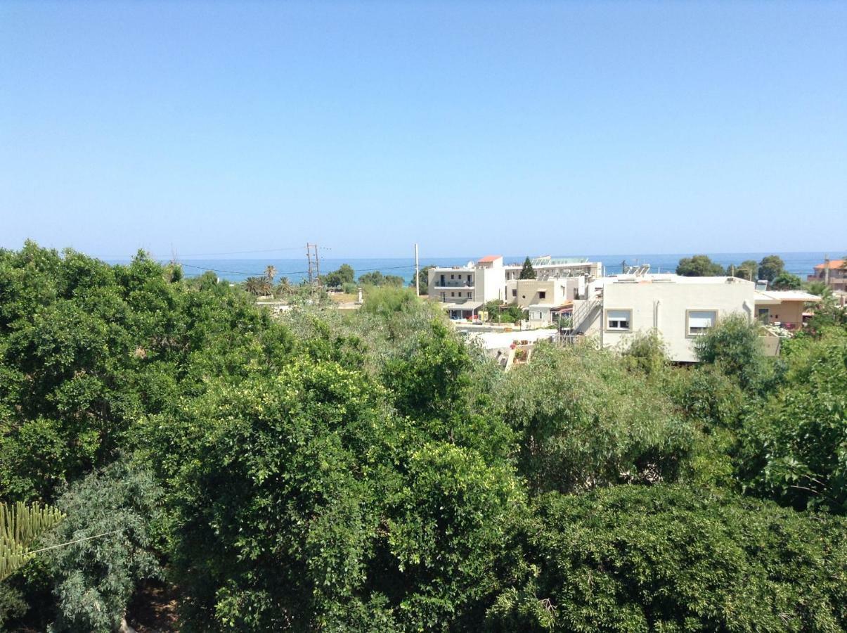 Arokaria Holiday Houses Platanes  Exterior foto